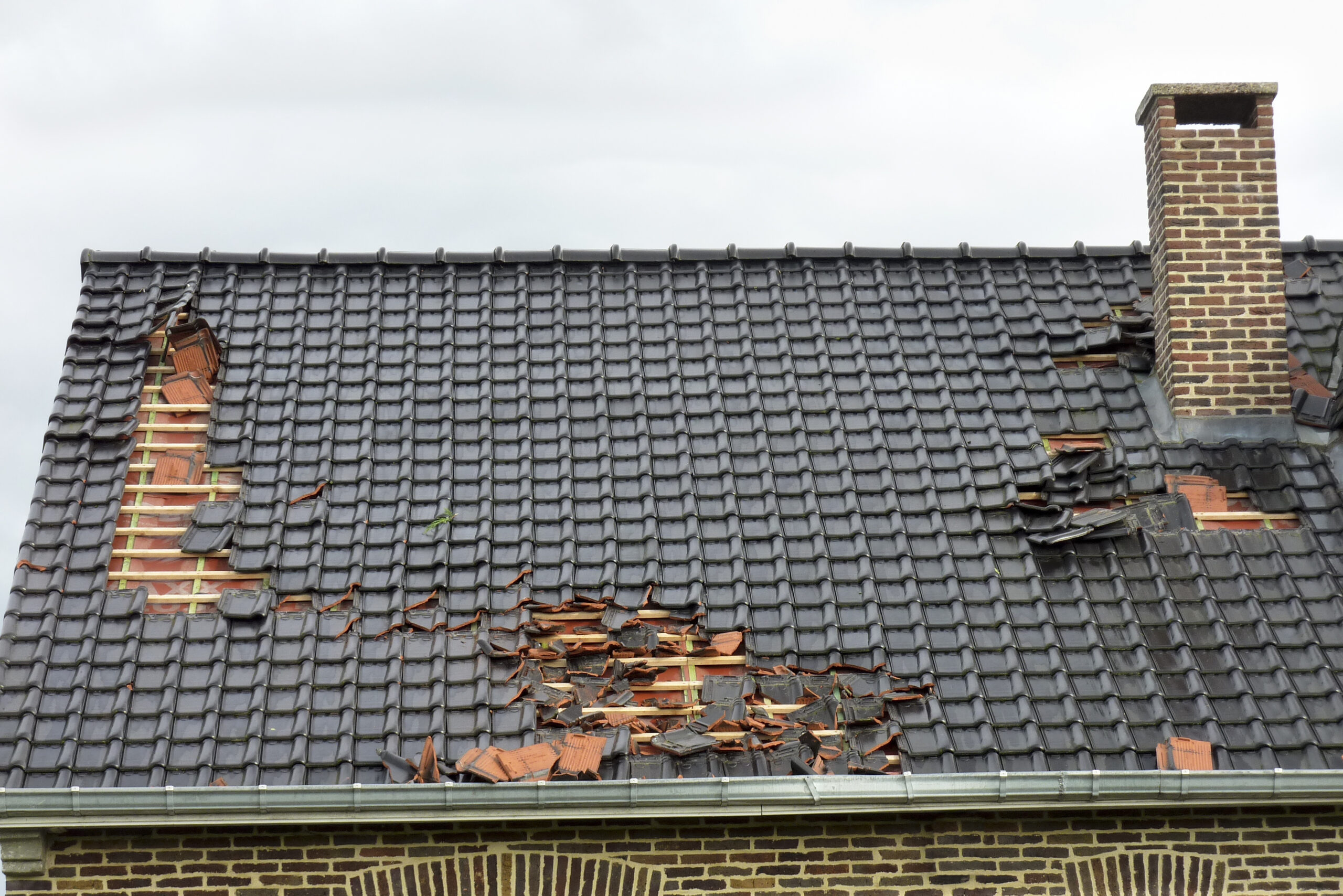 Roof in need of repairs and replacement due to broken shingles.